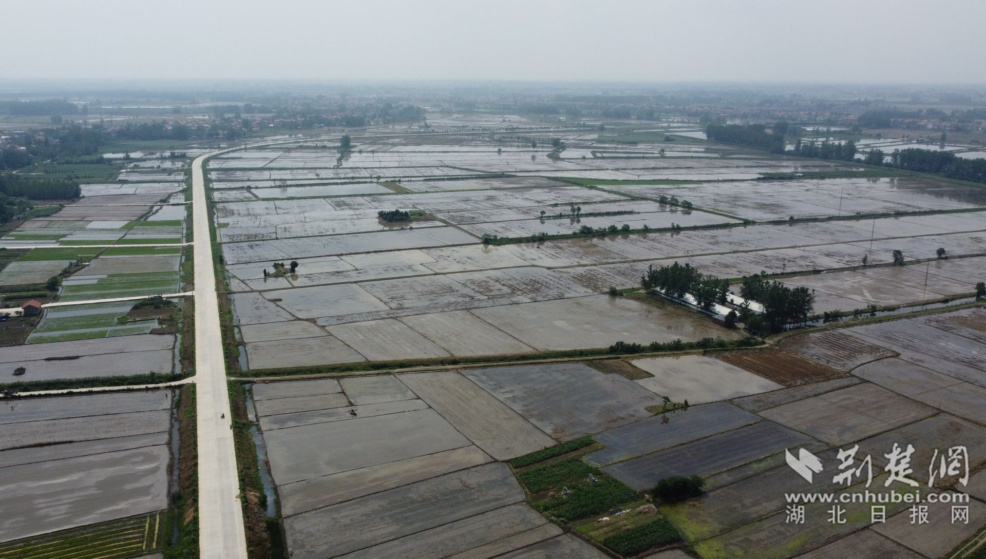 DJI_0378.JPG.JPG