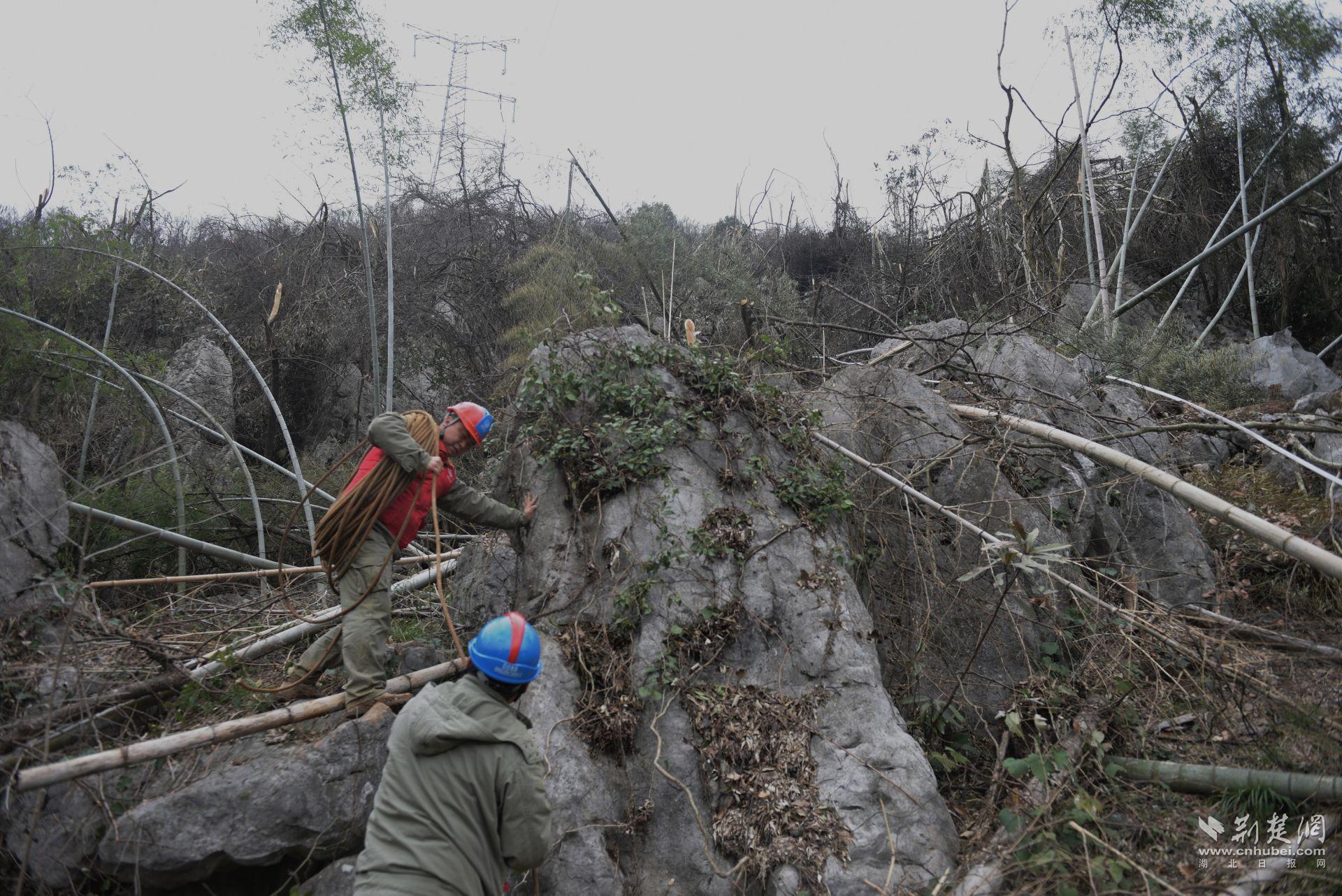 湖北送變電公司員工王文敏在湖北咸寧500千伏蒲咸一二回?fù)屝蕃F(xiàn)場進(jìn)行錦綸繩運(yùn)輸、導(dǎo)線展放工作。.jpg.jpg