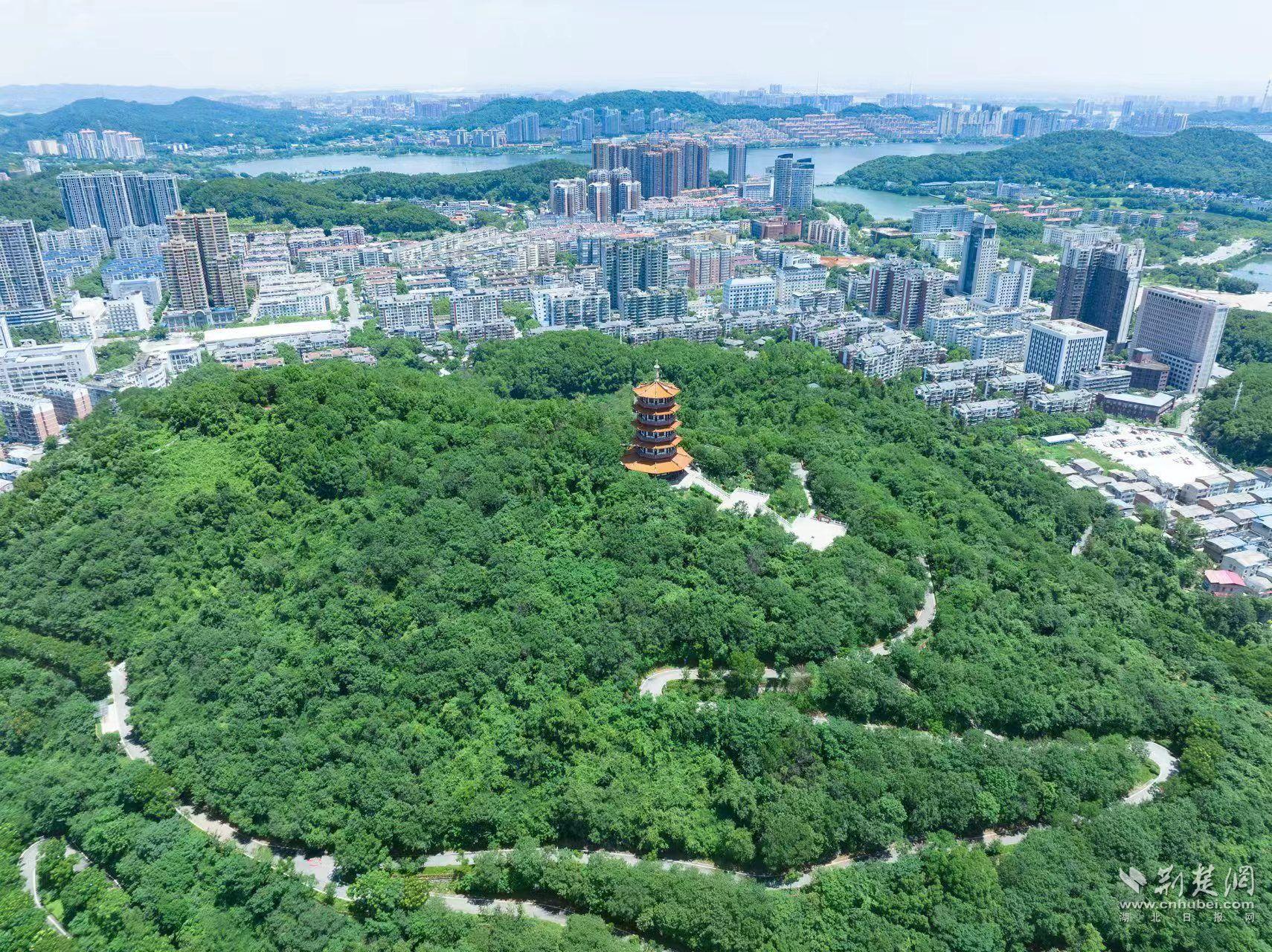 勁牌捐建的柯?tīng)柹桨遵R山公園.jpg.jpg